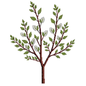 Illustration of Red-Twig Dogwood 'Arctic Fire'