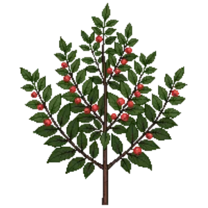 Illustration of Late cotoneaster