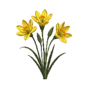 Illustration of Crocus 'Cream Beauty'