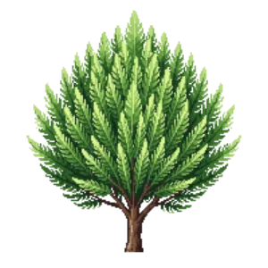 Illustration of Dwarf Japanese Cedar