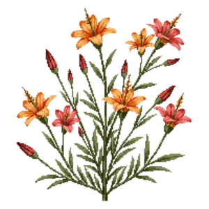 Illustration of Cuphea 'Vermillionaire'