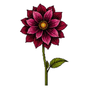 Illustration of Dahlia 'Arabian Night'