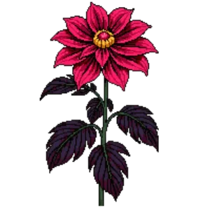 Illustration of Dahlia 'Bishop of Llandaff'