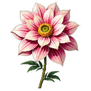 Illustration of Dahlia 'Cafe au Lait'