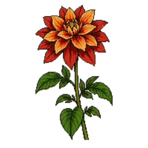 Illustration of Scarlet Dahlia