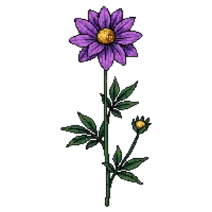 Illustration of Dahlia 'Thomas Edison'