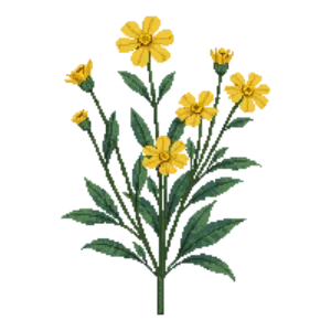 Illustration of Golden Dalea