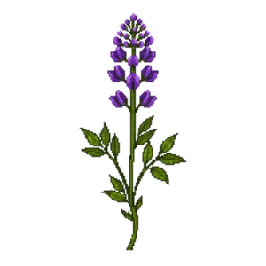 Illustration of Purple Prairie Clover