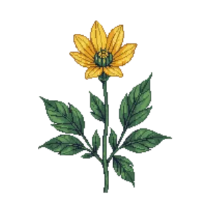 Illustration of Island Bush Poppy