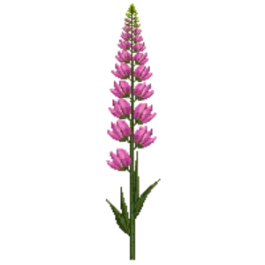Illustration of Twinspur