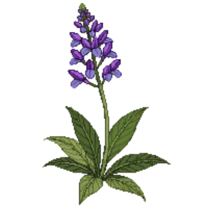 Illustration of Ookow
