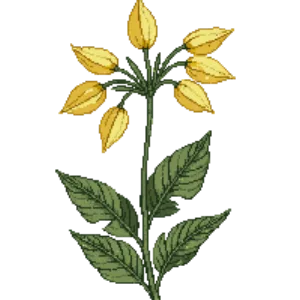 Illustration of Yellow Fairy Bells