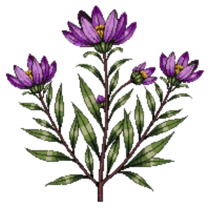Illustration of Purple Hopseed Bush