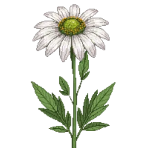 Illustration of Coneflower 'Green Jewel'