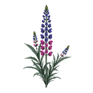 Illustration of Viper's Bugloss