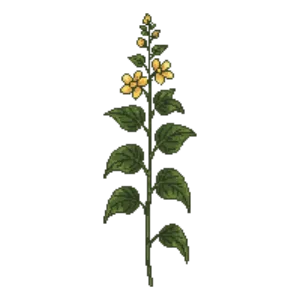 Illustration of Barrenwort 'Frohnleiten'