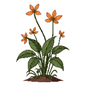 Illustration of Barrenwort 'Orange Queen'