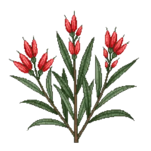 Illustration of Valentine Emu Bush