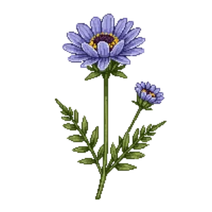 Illustration of Aspen Fleabane