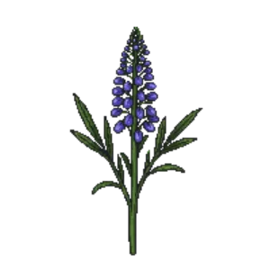 Illustration of Sea Holly 'Blue Hobbit'