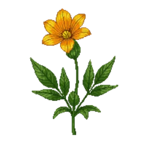 Illustration of Western Wallflower