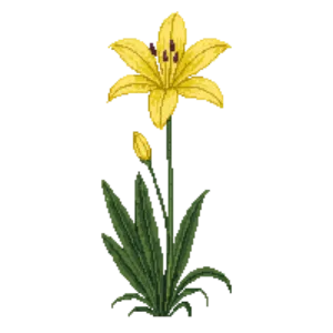 Illustration of Trout Lily