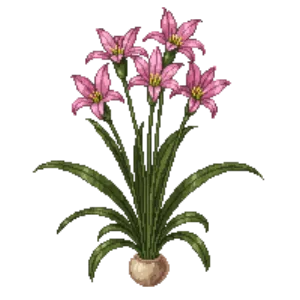 Illustration of Pink Fawn Lily