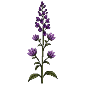 Illustration of Joe Pye Weed
