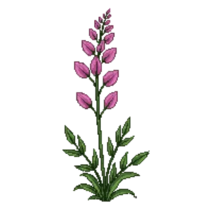 Illustration of Joe Pye Weed 'Gateway'