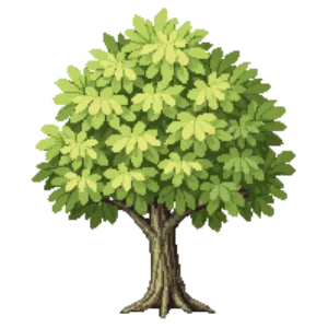 Illustration of Beech