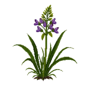 Illustration of Checker Lily
