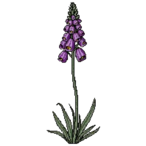 Illustration of Snake's Head Fritillary