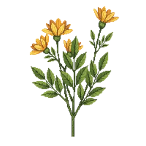 Illustration of Thryallis