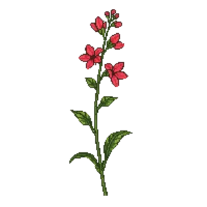 Illustration of Island Bush Snapdragon