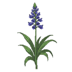 Illustration of Bottle Gentian
