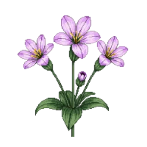 Illustration of Cranesbill 'Mavis Simpson'