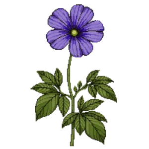 Illustration of Meadow Cranesbill