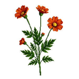 Illustration of Scarlet Avens