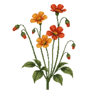 Illustration of Avens 'Fire Storm'