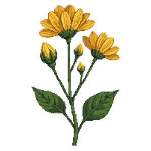 Illustration of Avens 'Lady Stratheden'