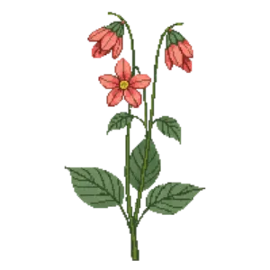 Illustration of Water avens