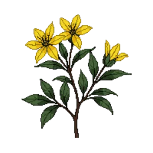 Illustration of American Witch Hazel