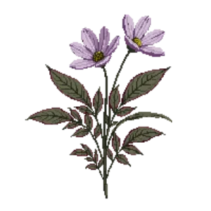 Illustration of Hebe 'Red Edge'