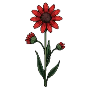Illustration of Helenium 'Moerheim Beauty'