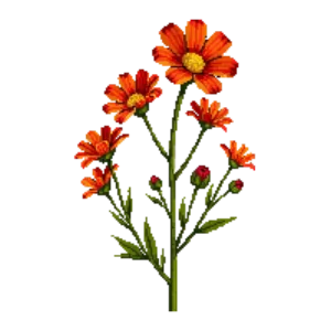 Illustration of Sneezeweed 'Sahin's Early Flowerer'
