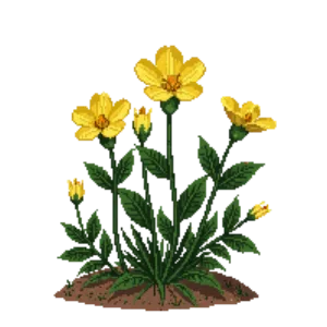 Illustration of Common rock-rose