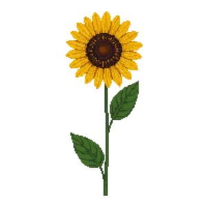Illustration of Sunflower