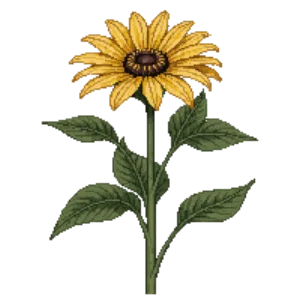 Illustration of Maximilian Sunflower