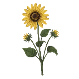 Illustration of Willowleaf Sunflower
