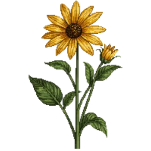Illustration of False Sunflower